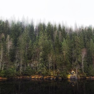 TALVIJÄSENYYS - kaikki juoksutreenit + muita etuja
